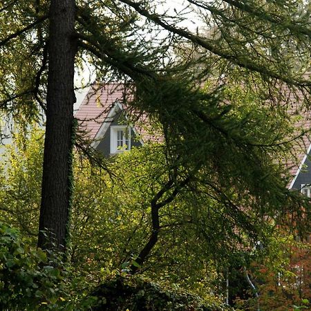 Panoramablick Appartement - Traumhaft! Ober-Hambach Kültér fotó