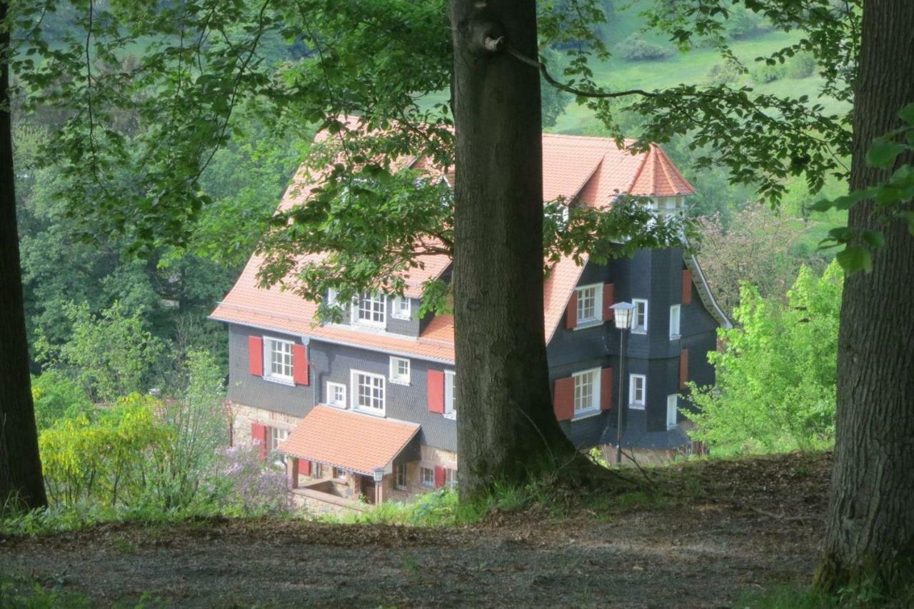 Panoramablick Appartement - Traumhaft! Ober-Hambach Kültér fotó