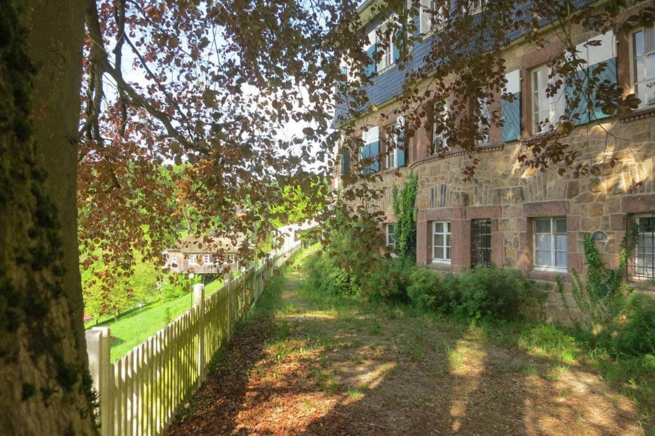 Panoramablick Appartement - Traumhaft! Ober-Hambach Kültér fotó